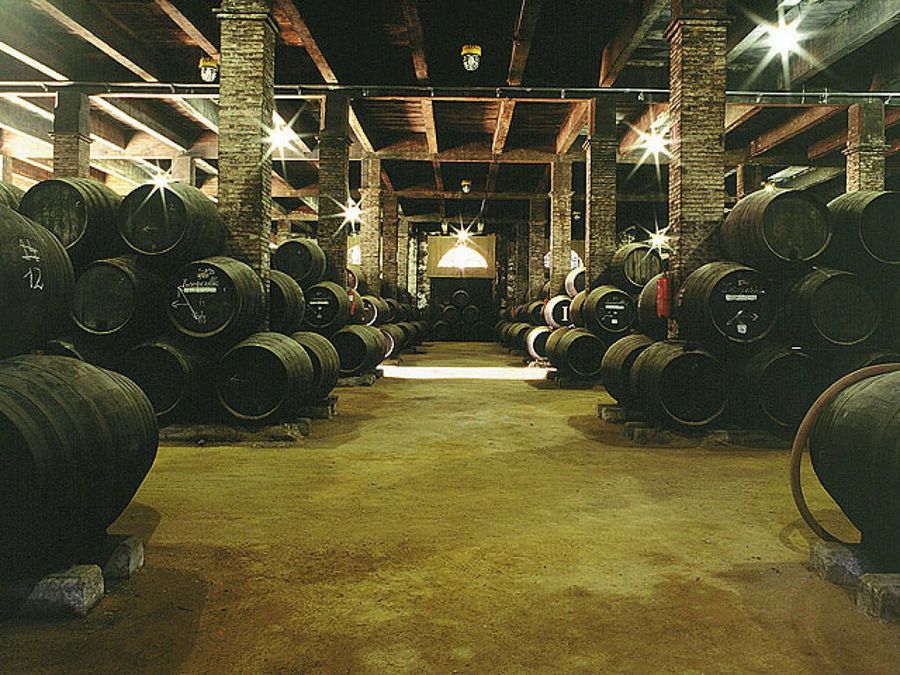 barricas brandy de jerez