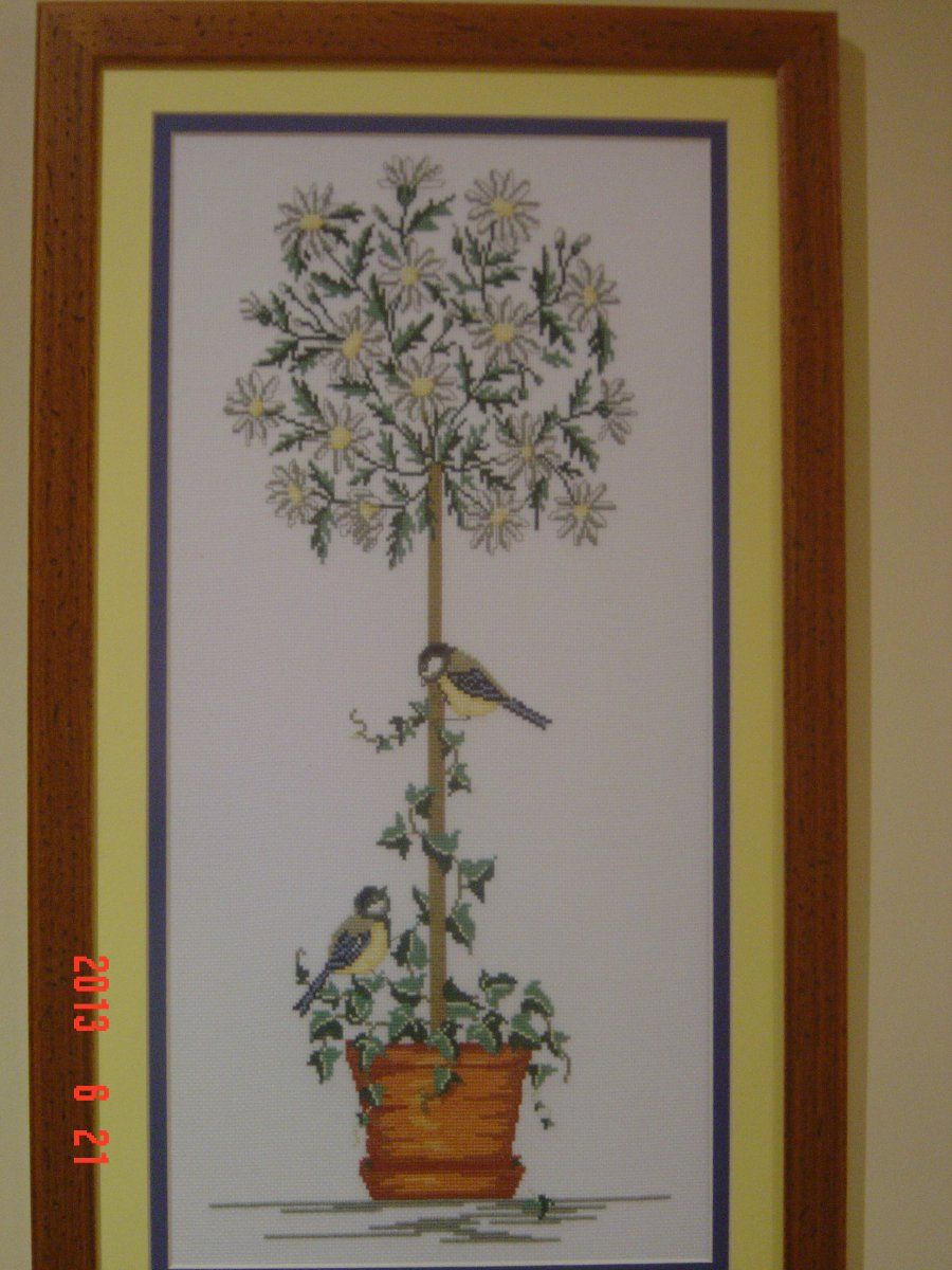 Imagen 1