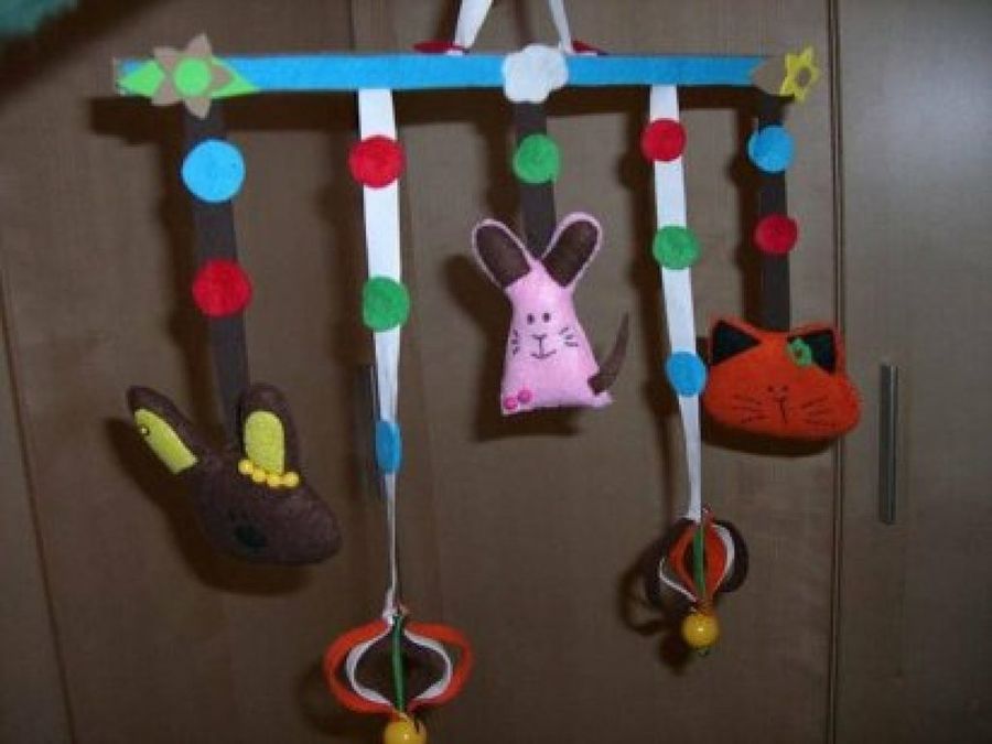 Imagen 5
