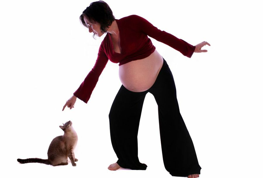 gatos y embarazadas