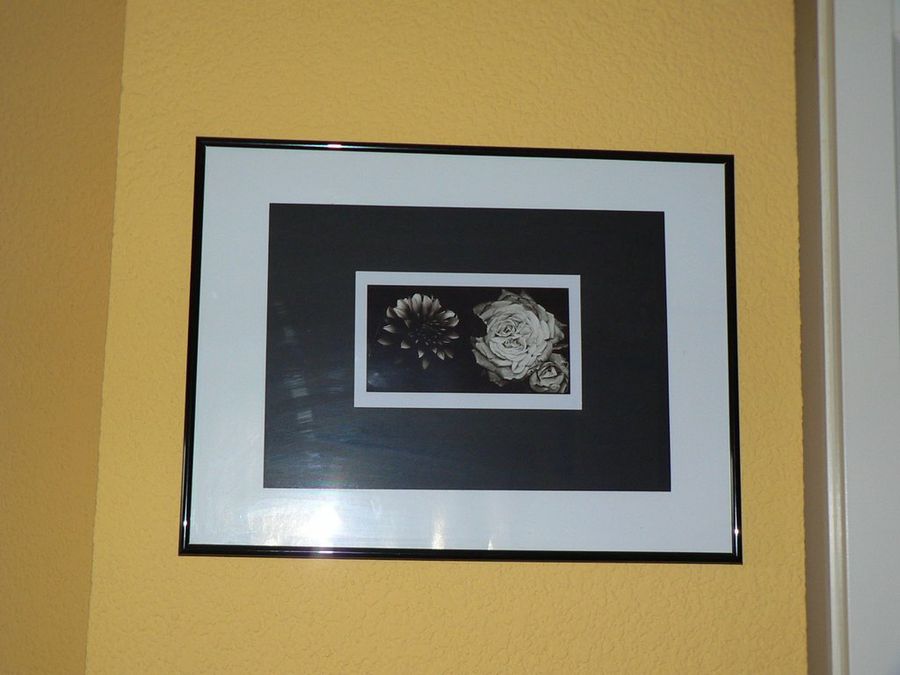 Imagen 7