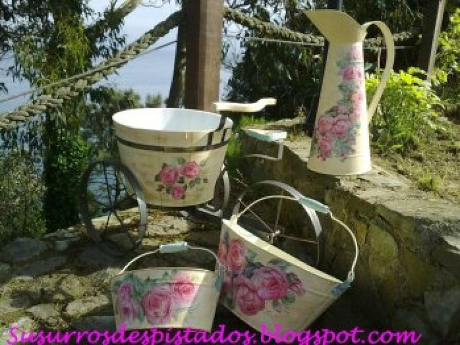 Imagen 6