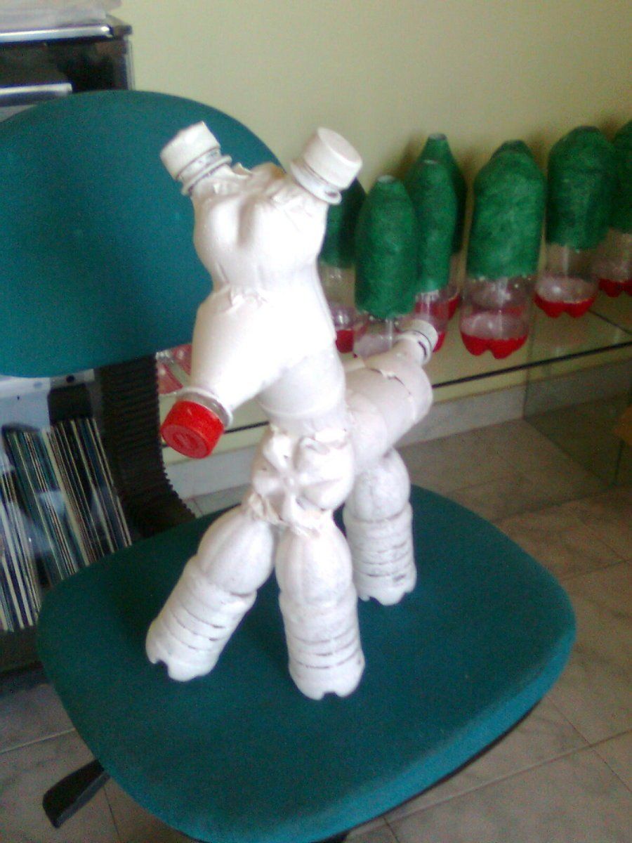 Imagen 5