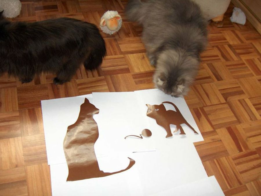 gato de papel