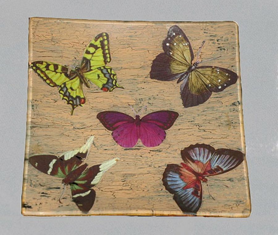 bandeja de mariposas