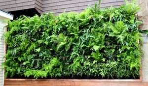 Jardines verticales: sorprendentes beneficios y lindas decoraciones