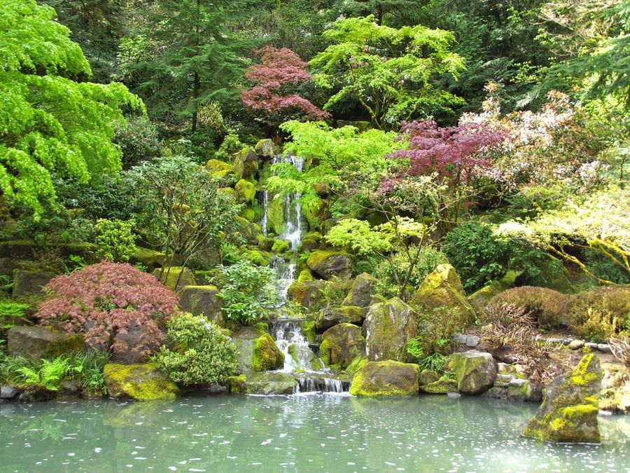 Jardín japonés