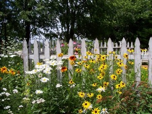Accesorios para decorar el jardín | Plantas