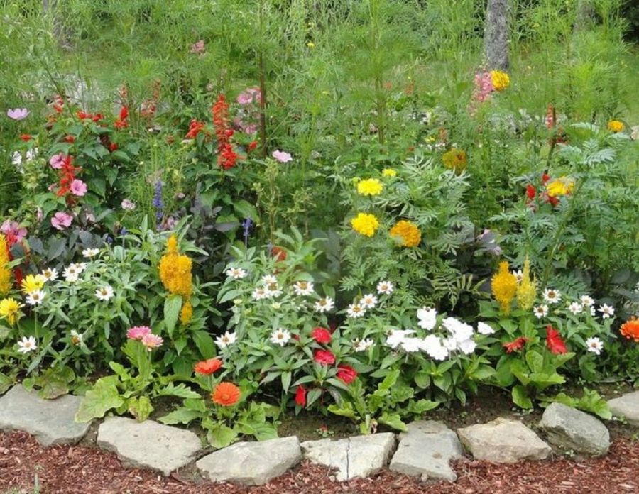 Accesorios para decorar el jardín | Plantas