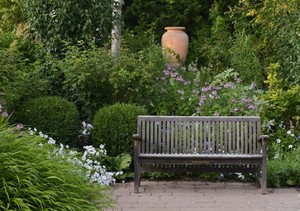 Accesorios para decorar el jardín | Plantas