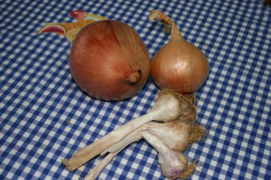 cebollas y ajo