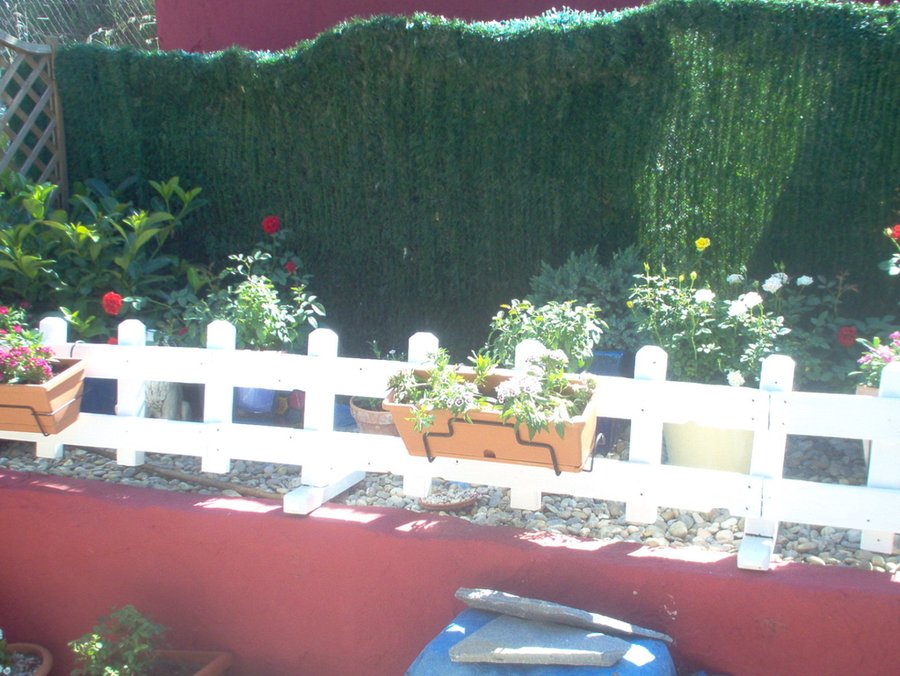 Imagen 9
