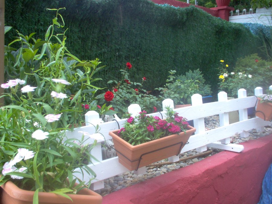 Imagen 13