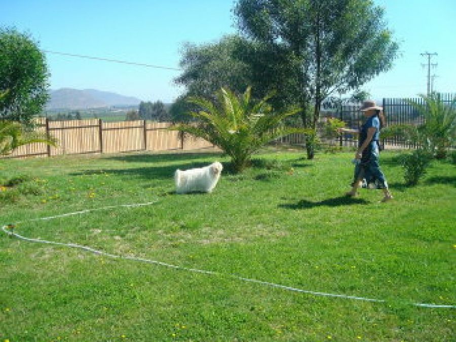 Imagen 1