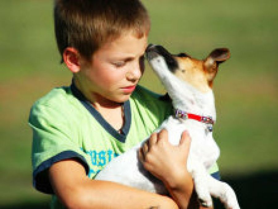 niño y perro