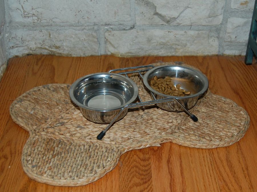 comida perros