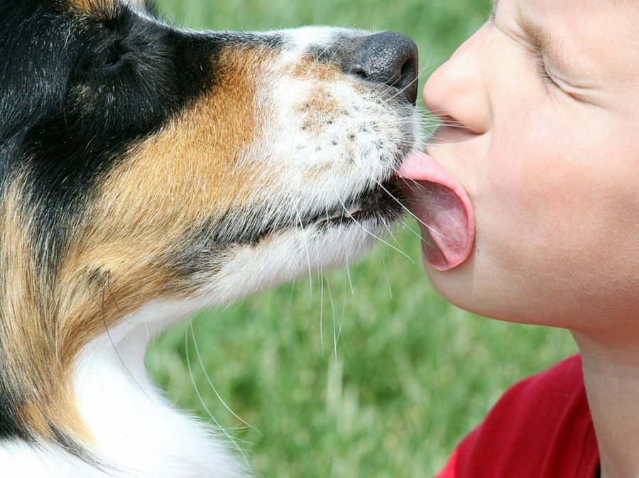 perro y bebé