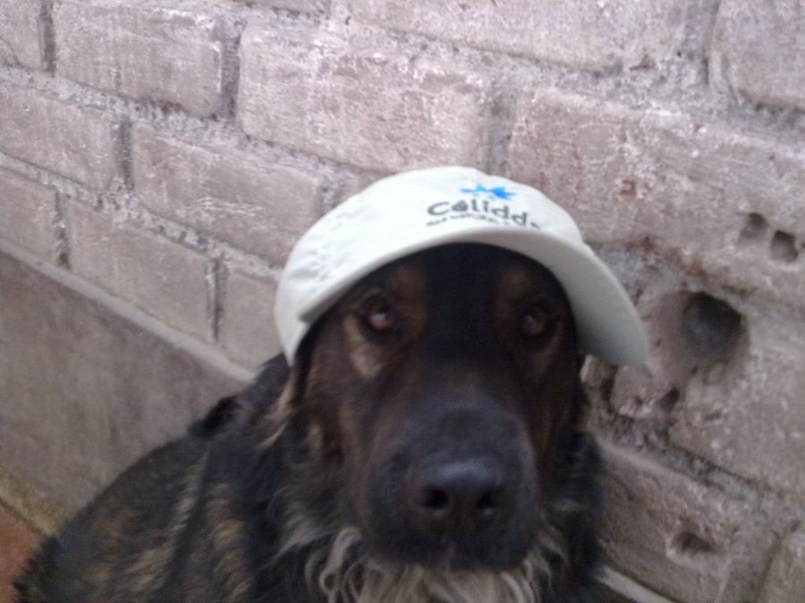 Imagen 6