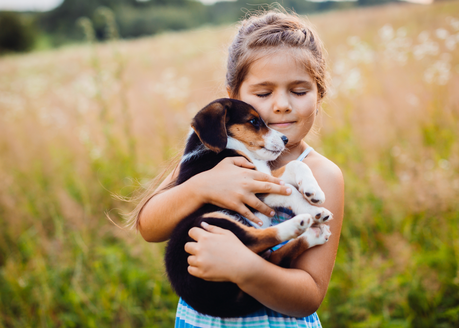 Descubre Los 10 Beneficios Que Te Aporta Tener Una Mascota En Casa Mascotas 9077