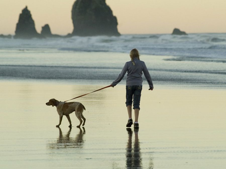Paseando perro