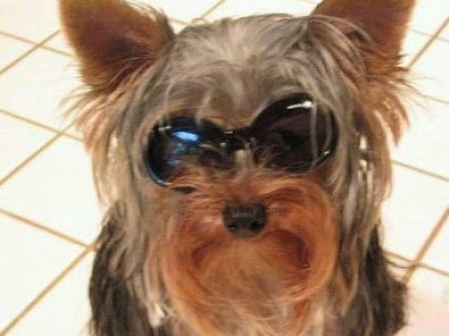 complementos contra el sol