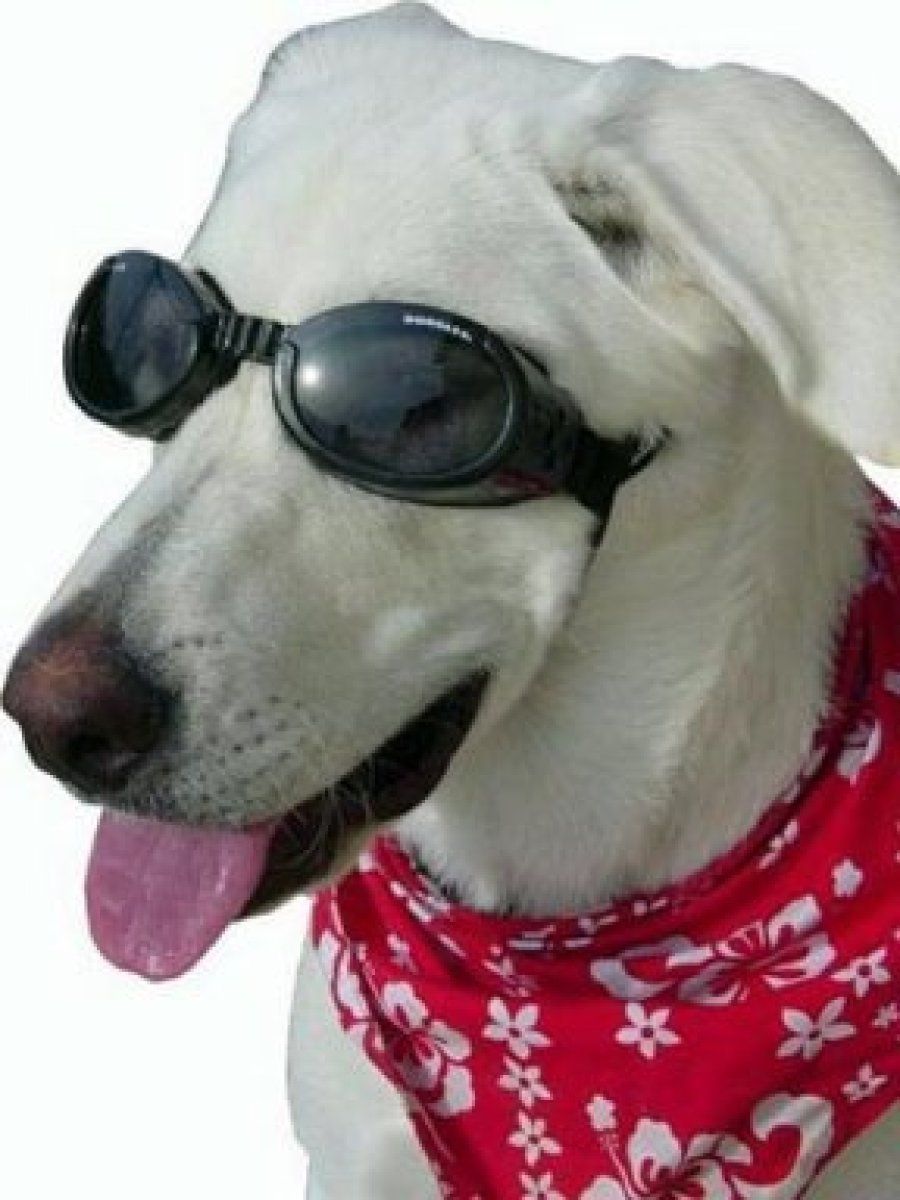 complementos contra el sol