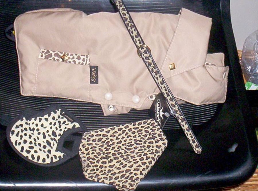 conjunto