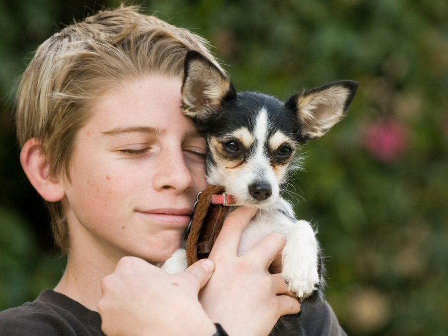 Perro y gato