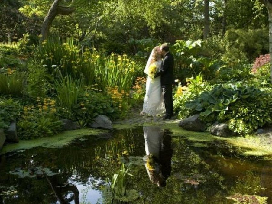 boda en la naturaleza