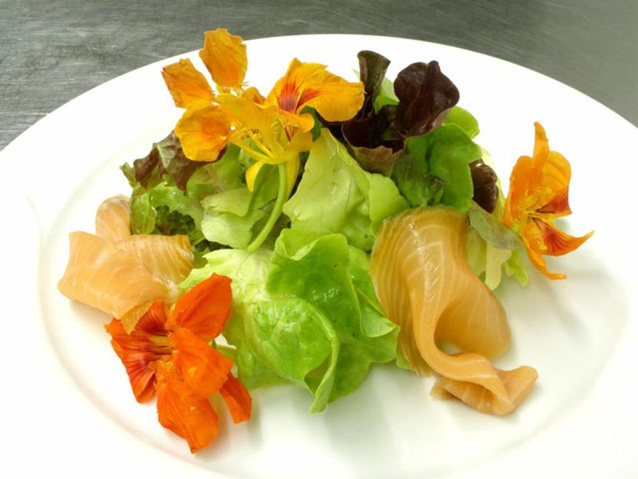 Ensalada