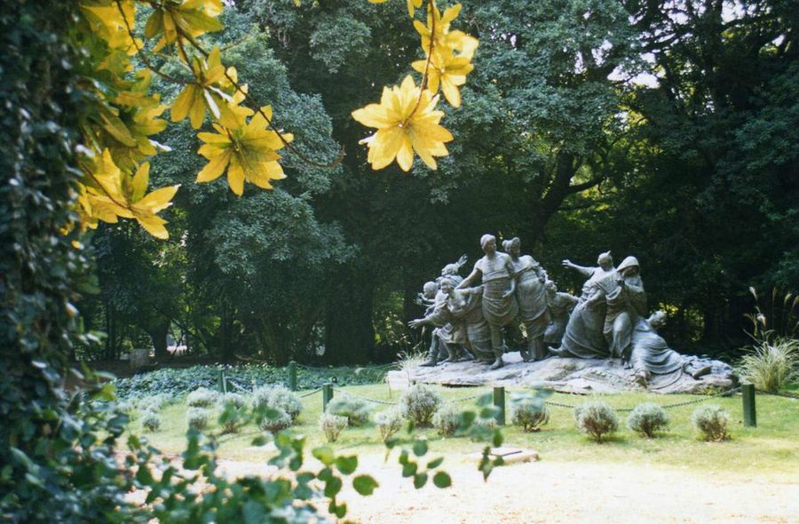 5 Planes para Navidad