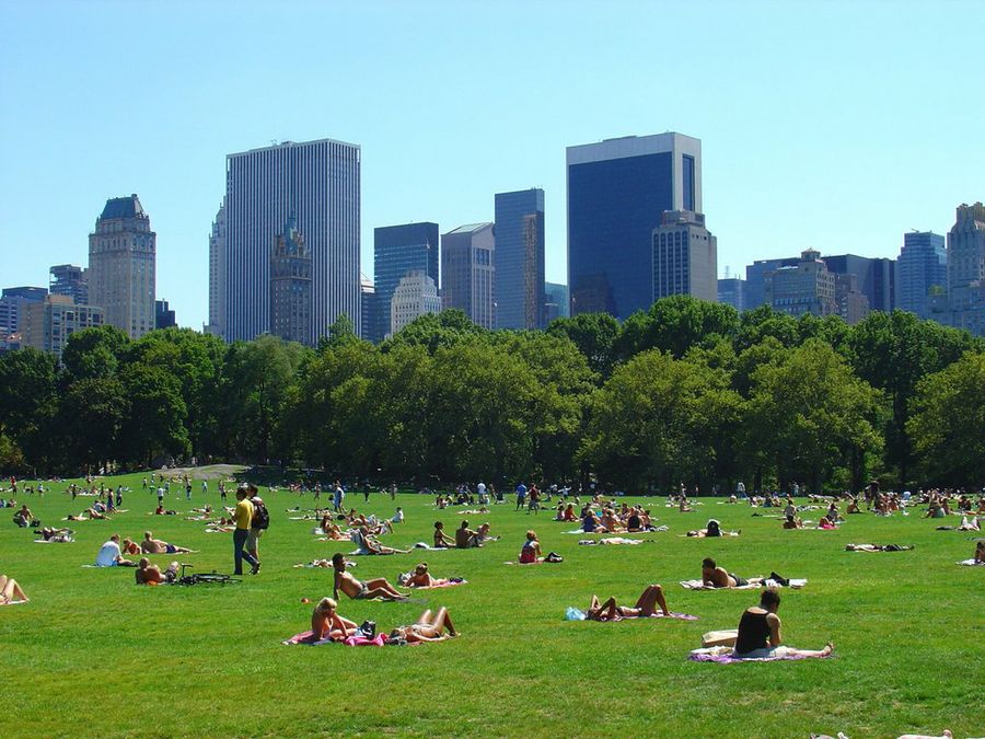 Central Park - Flickr - ZeroOne