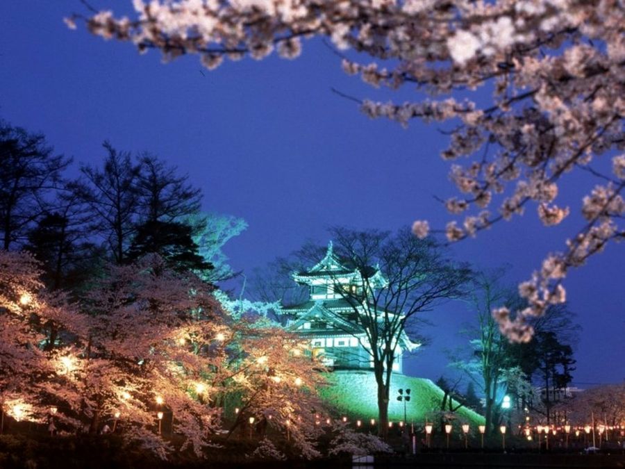 Japón
