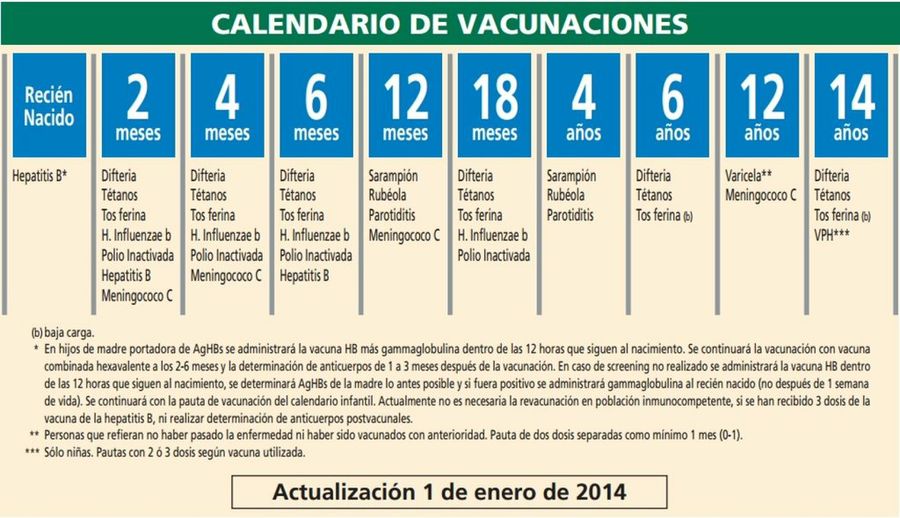 calendario vacunación