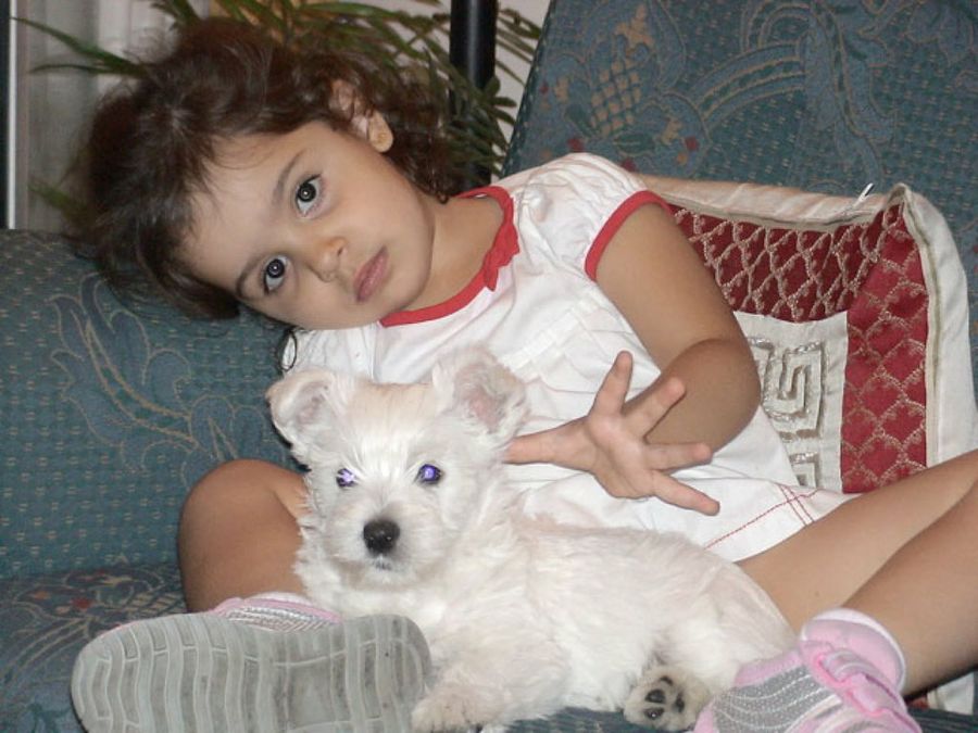 niña con perro