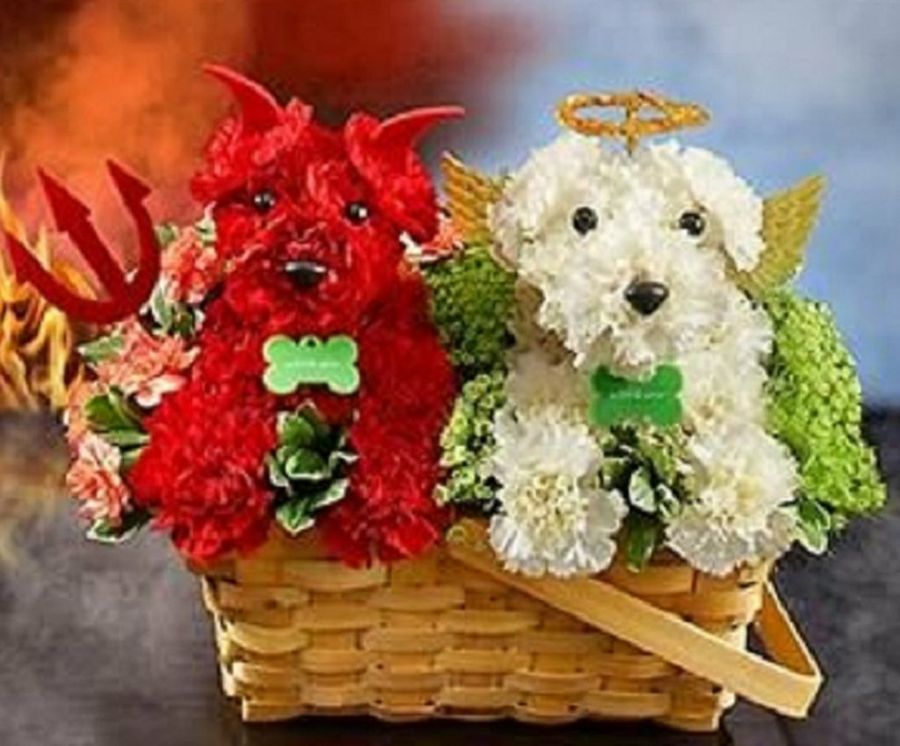 Imagen 37