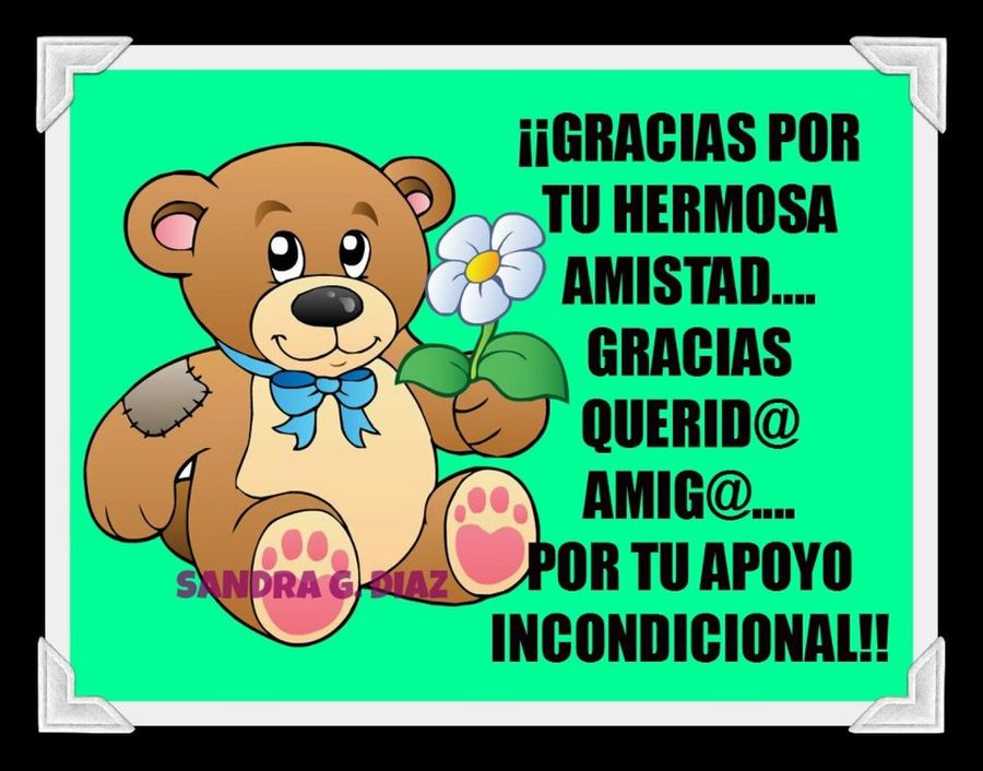 Imagen 11
