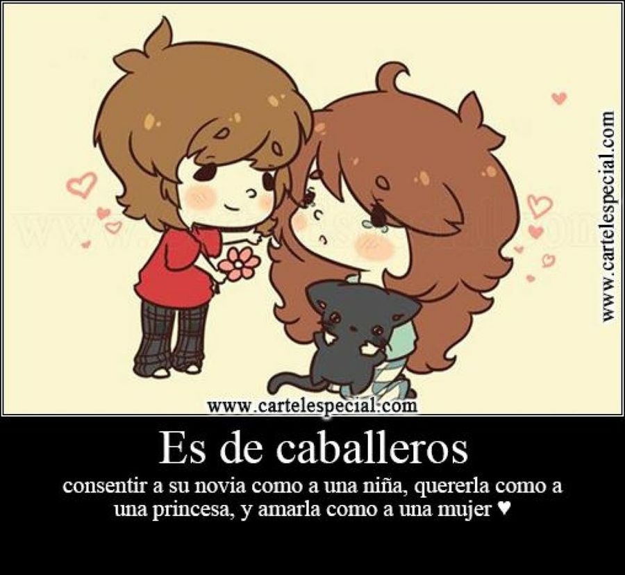 Imagen 19