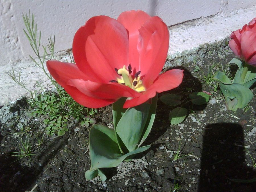 Imagen 13