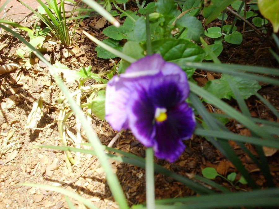 Imagen 27