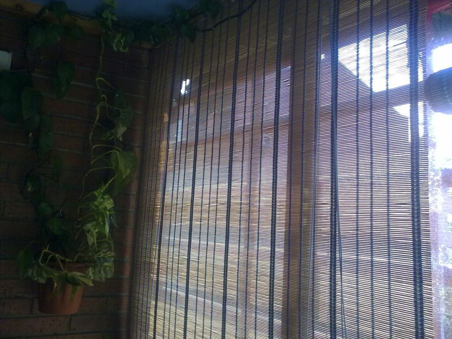 Imagen 9