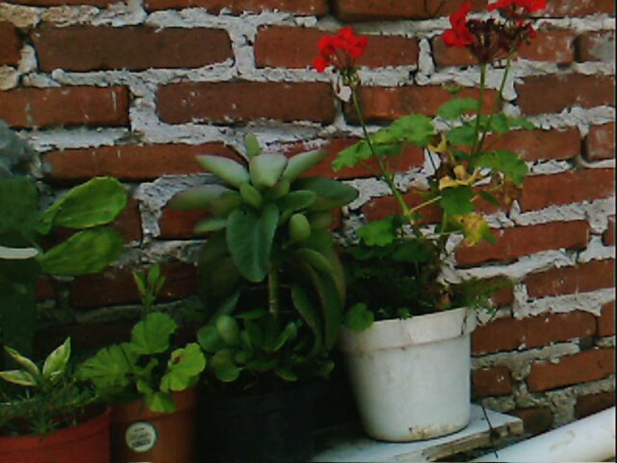 Imagen 30