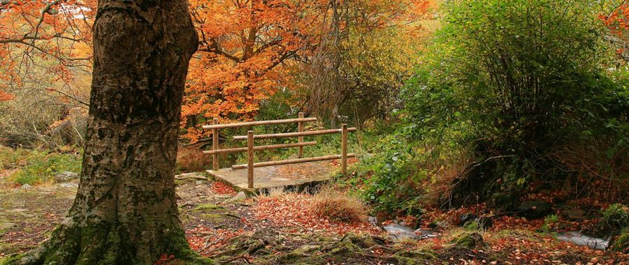 Otoño