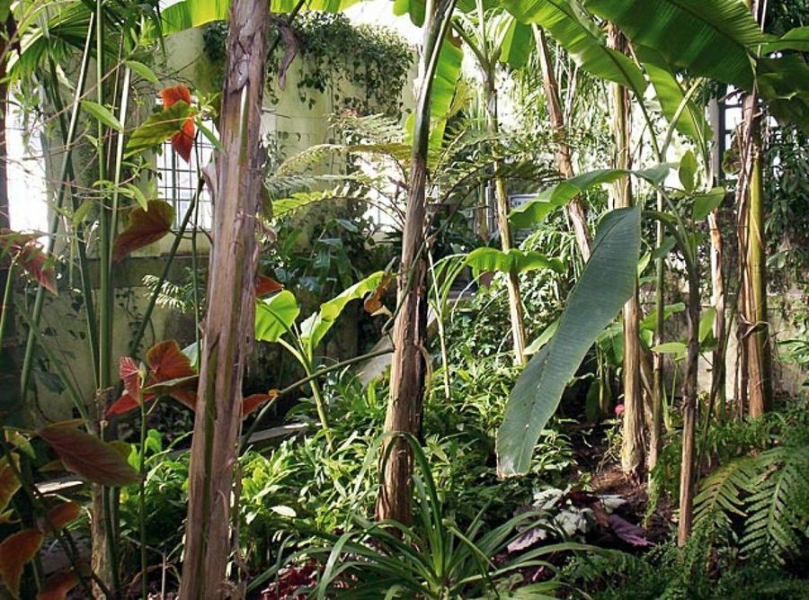 jardín botánico