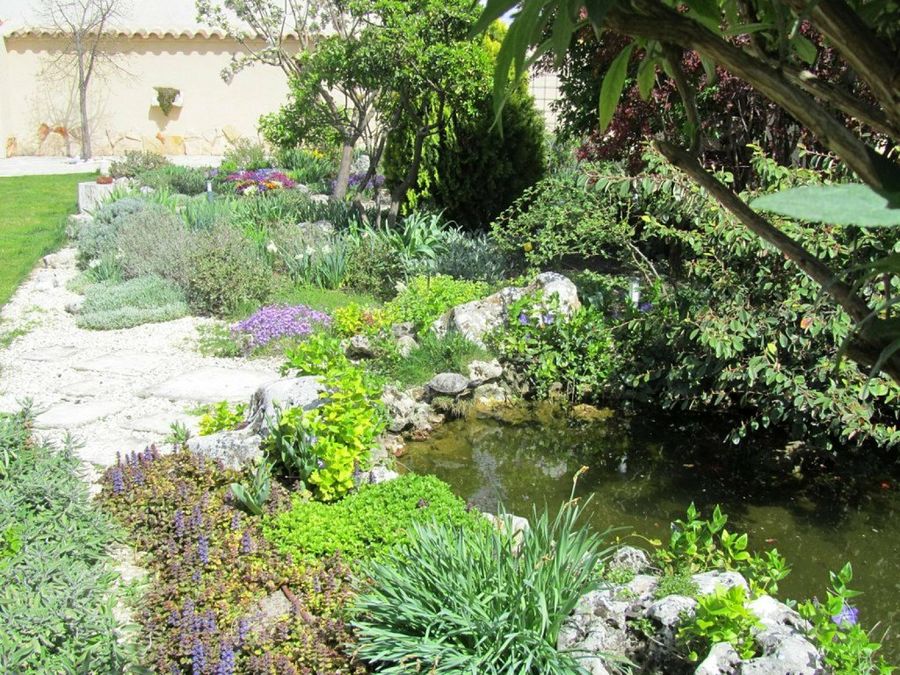 Estanque Campestre