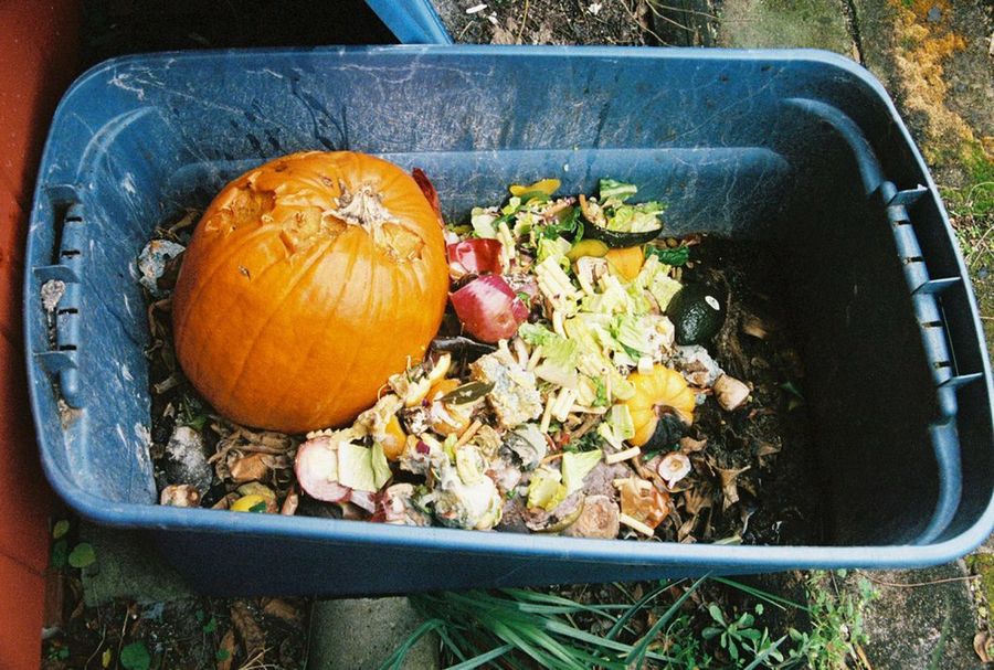 compost
