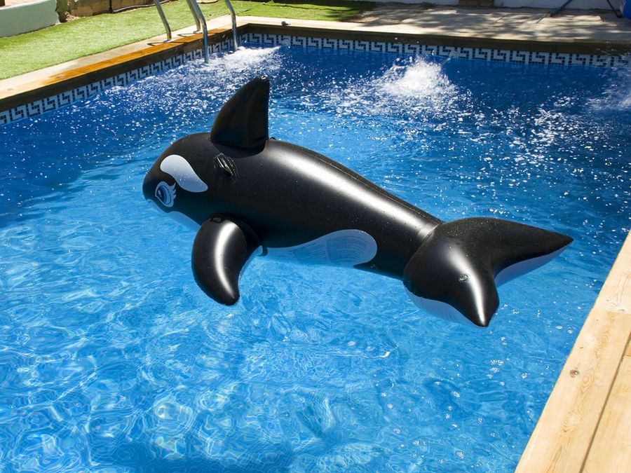 Pequeña piscina en una parcela