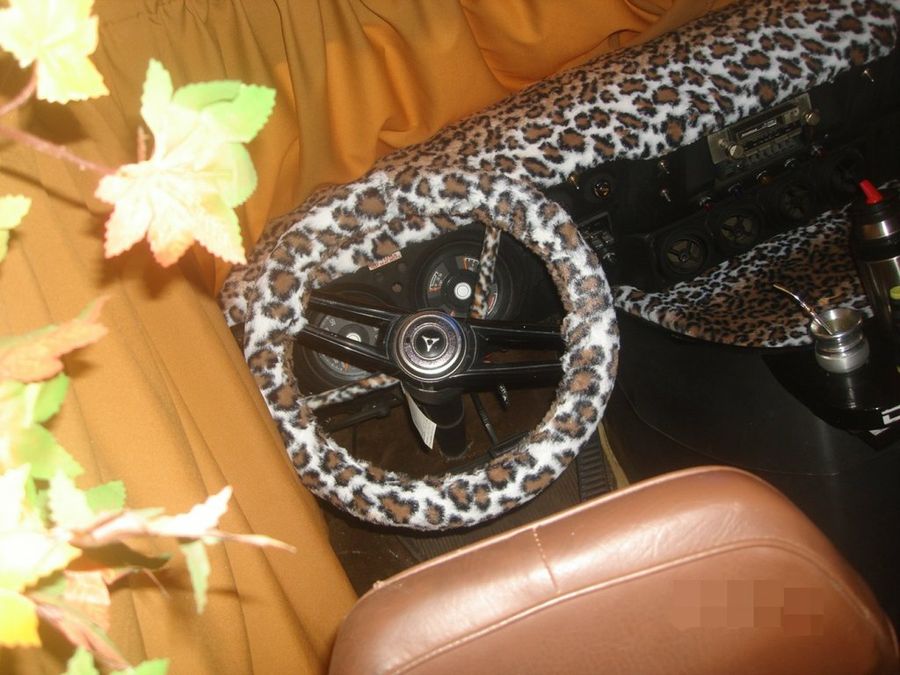 Imagen 5