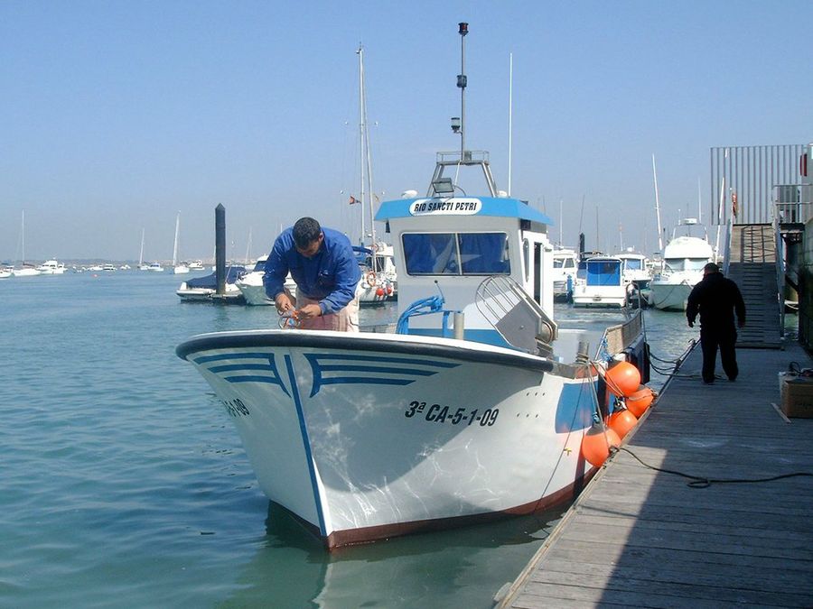 Barco