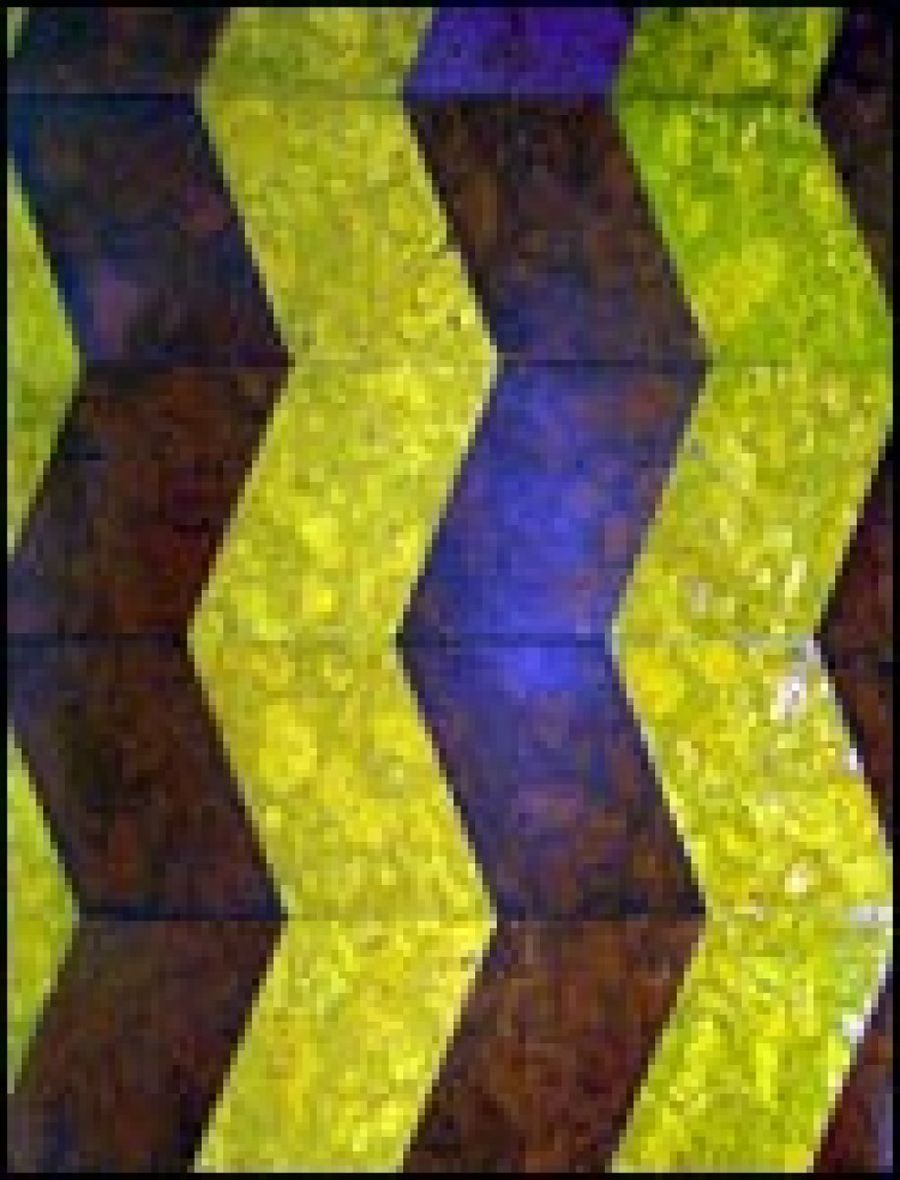 pared de colores